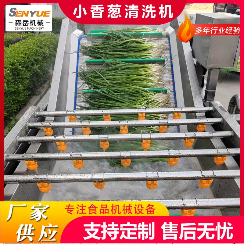 定制西蓝花去农残气泡清洗机鱼皮气泡清洗线多功能海带清洗机设备