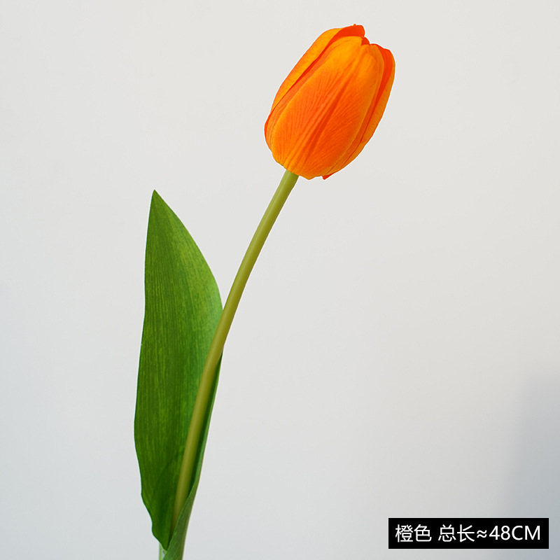 오렌지