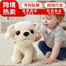 �羳��������ë�����С�����м�������������������żԴͷ����
