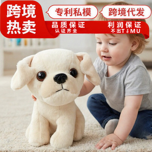 �羳��������ë�q���С�����м������������l������żԴ�^���S