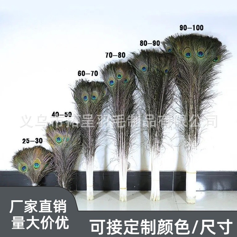 Cross-border High-quality Natural Peacock Feathers 25-120cm Home...