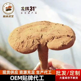 其他滋补;灵芝;保健食品