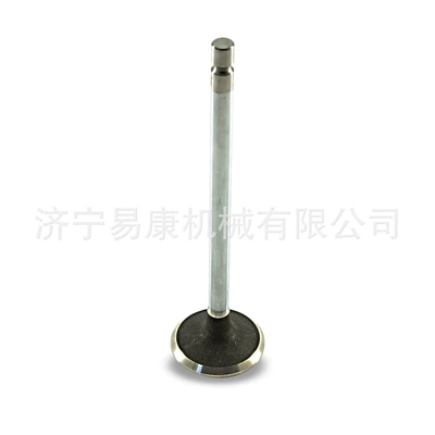 Engine Exhaust Door for Cummins QSM11 3417779 Northern Shun TR45 Miner Car Intake Exhaust Door