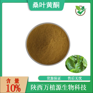 桑叶黄酮10%桑叶提取物桑叶萃取原料粉现货供应量大从优1kg/袋-阿里巴巴