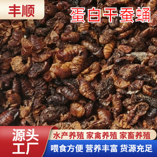 ��~�T�D�ϵ�������� ����������QӼ�� С���r�u����ϸ��QӼ