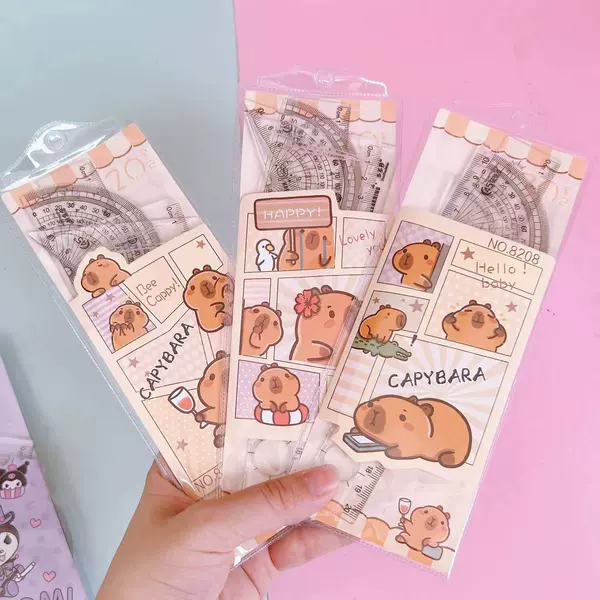 Transparent ruler, set, 4 piece set