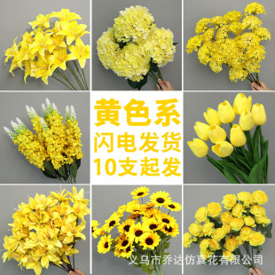 ??�Sɫ����Y�b������m��c�������Sɫ�ٻ��廨������ջ�