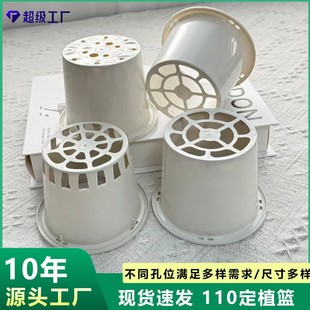 ˮ������ֲ110mm�A�οظ��o�������߲˻��̸ܹ����Nֲ��������ˮ