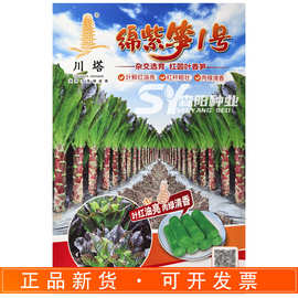 川塔绵紫笋1号莴笋种子杂交红圆叶香笋红皮青肉红贵族秋冬东方红