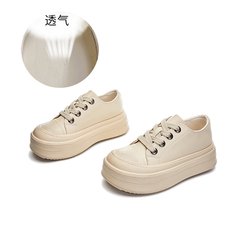 베이지