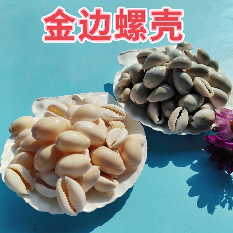 MEITU_20241124_194804729