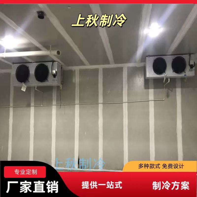 上海上秋制冷冷库厂家制冷设备小型水果海鲜蔬菜冷库安装保鲜库冷