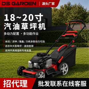 �S��ֱ�N����DSGARDEN���Ͳ�ƺ�C18/20����ø�ݙC����ʽ���l