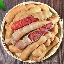 �������������خa��������r�_�������ھ��x�������ǳ�������