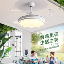 波西米亚隐形风扇灯2024新款吊扇灯吸顶家用客厅餐厅卧室电扇吊灯