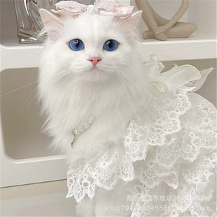 ����؈���ת{��؈���̻��w��؈���л��w�ڰ���ţ؈��������؈���w