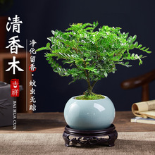 �������ľ����������ò�ֲ���҃Ȼ��ܿ͏d�k��������С�Gֲ���B