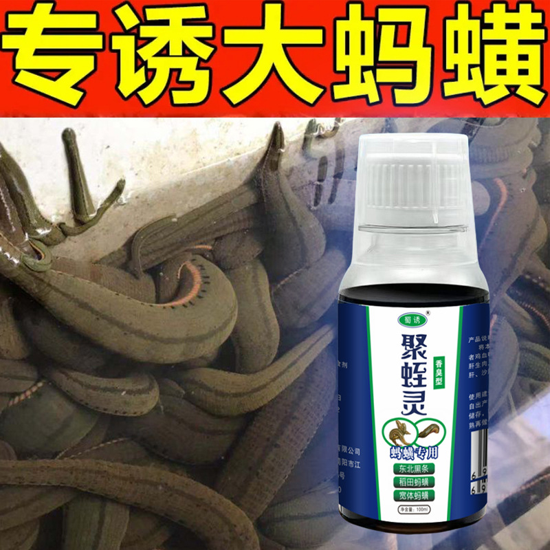 Shu atrae a las sanguijuelas, fragancia y sanguijuelas apestosas, campo de arroz especial, sanguijuelas de cuerpo ancho, aditivos de atracción, sanguijuelas de estanque, sanguijuelas de río, medicina