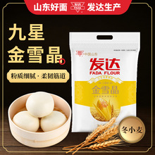 ɽ�|�l�_���ǽ�ѩ�����ͨ��С����5����Ӱ����z�^ɽ�|�������