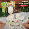 新奇特网红盲盒恐龙蛋模型DIY儿童益智考古挖掘玩具宝石矿石盲盒|ru