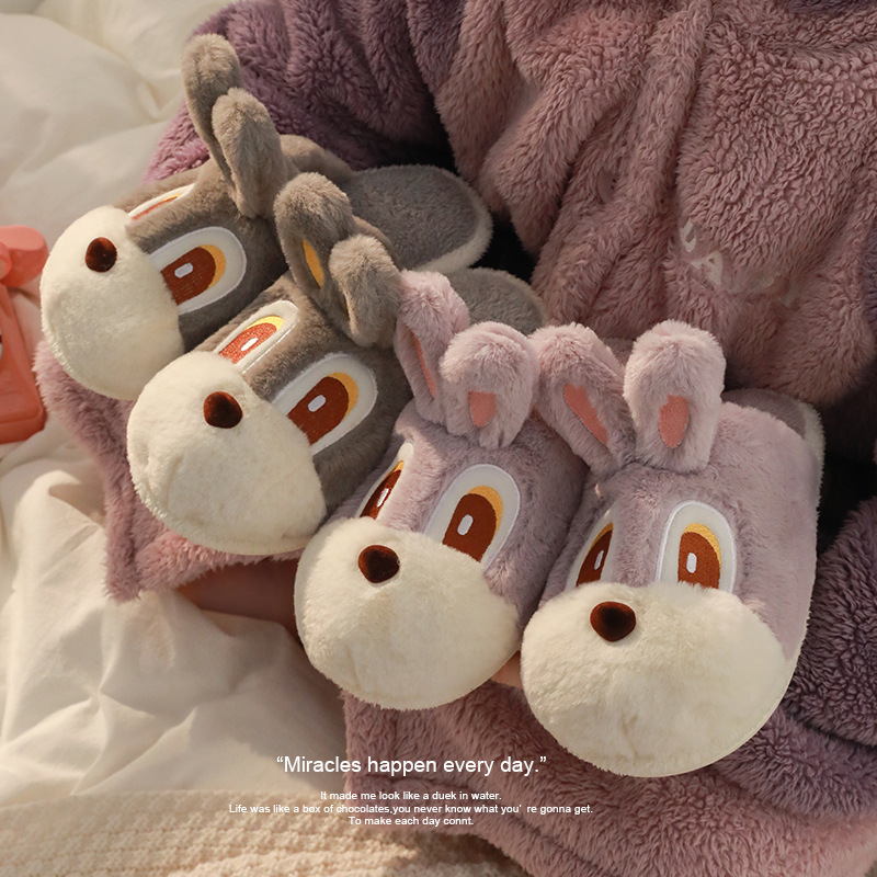Cute rabbit