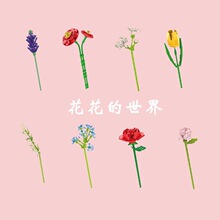 ����С�ϡ���ͯ����ϵ�л��ܳ��˻���С�w���eľģ�����Ů���Y��