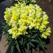 ~NļײԻС~ݷNͥԺ^Nͺ]