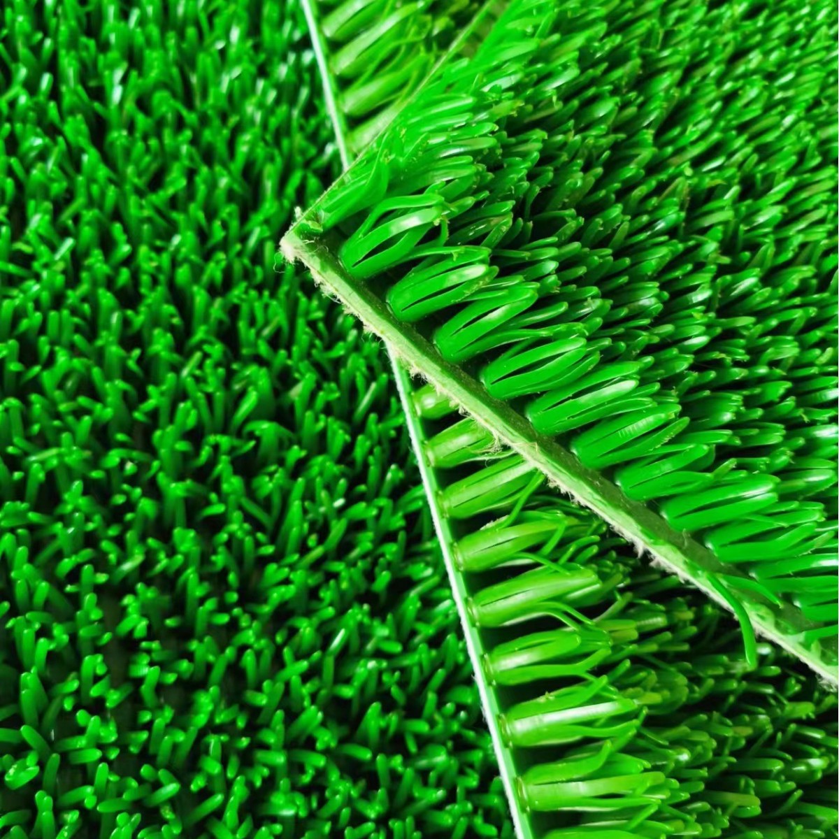 2025-04-07 10:42:13.jpg