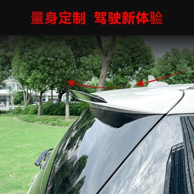 top wing tail fixed – Fixed wind wing
