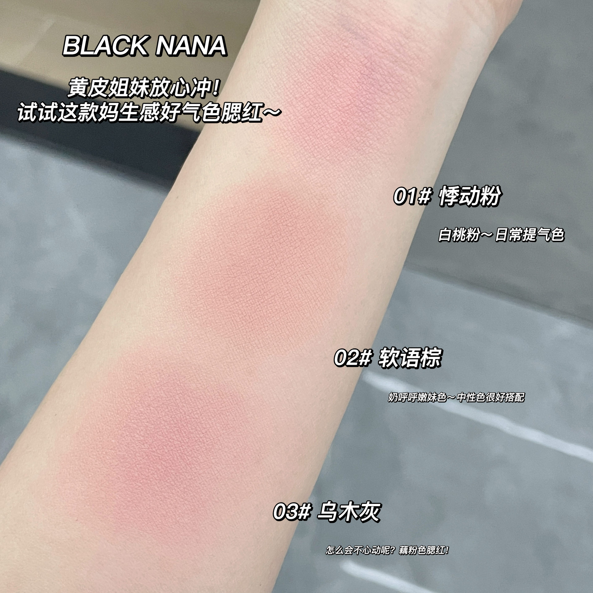 BLACK NANA Garden Girl Blush Natural Nude Makeup Highlight Brightening Blush Palette Affordable Student Cross-border Wholesale Item Picture