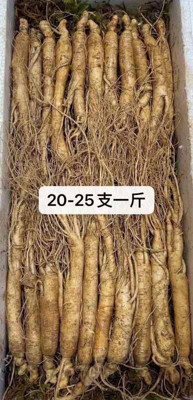 長白山産生高麗人参、各種サイズ、土付き生高麗人参、工場卸売、高麗人参強壮ギフト、ドロップシッピング対応|undefined