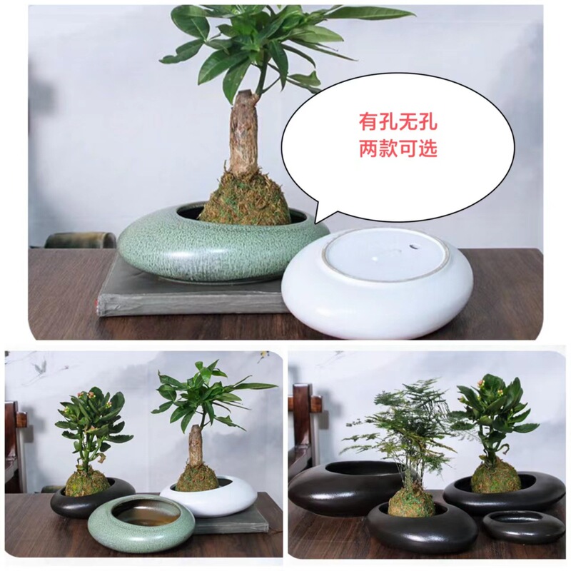 Black and White Coarse Ceramic Flower Potted Green Plant Fleshy Large Small Porous Hydroponics Indoor and Outdoor Household Black and White Coarse Ceramic Flower Potted Green Plant Fleshy Large Small Porous Hydroponics Indoor and Outdoor Household