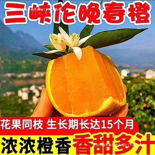 ���]�Fժ����Ě�����r���������Ӵ���˲����wֱ�l��ˮ����֭�Y��