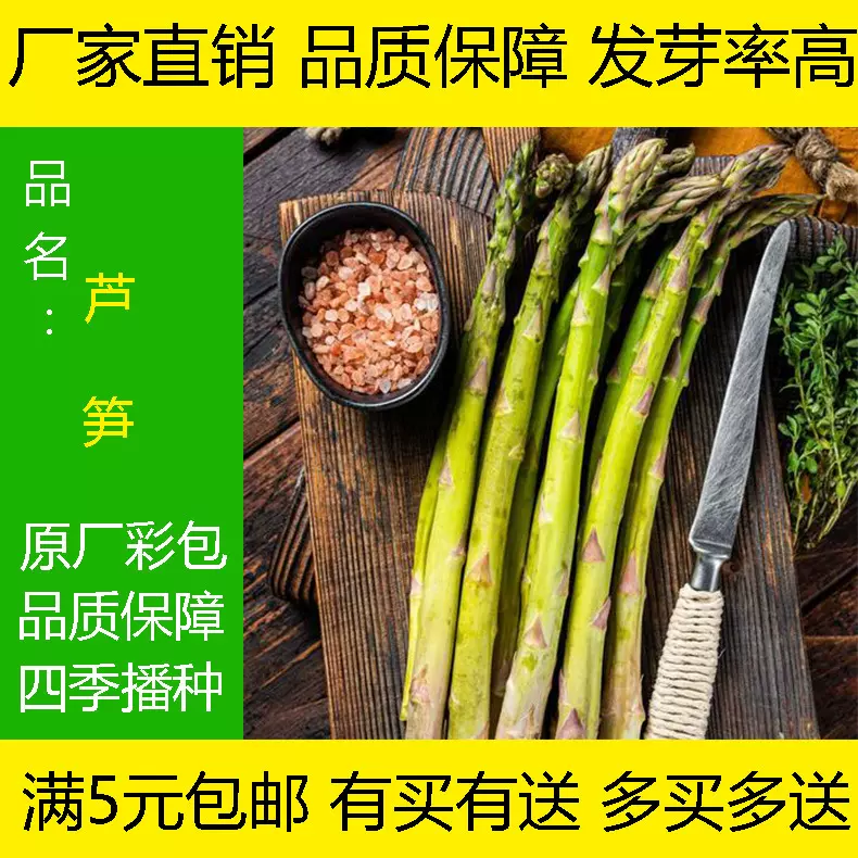 芦笋种籽芦笋根苗蔬菜种子种植高产菜苗秧家庭阳台盆栽南方笋菜