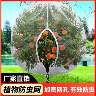 ���x�� ��Ҏ����K��朷��x�g���W�r�û��@���仨�ܷ��B�W��