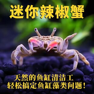 ����з����з�^�pз���c�����~��ȸ�~�r���R�~���B�Ԝu�x������w