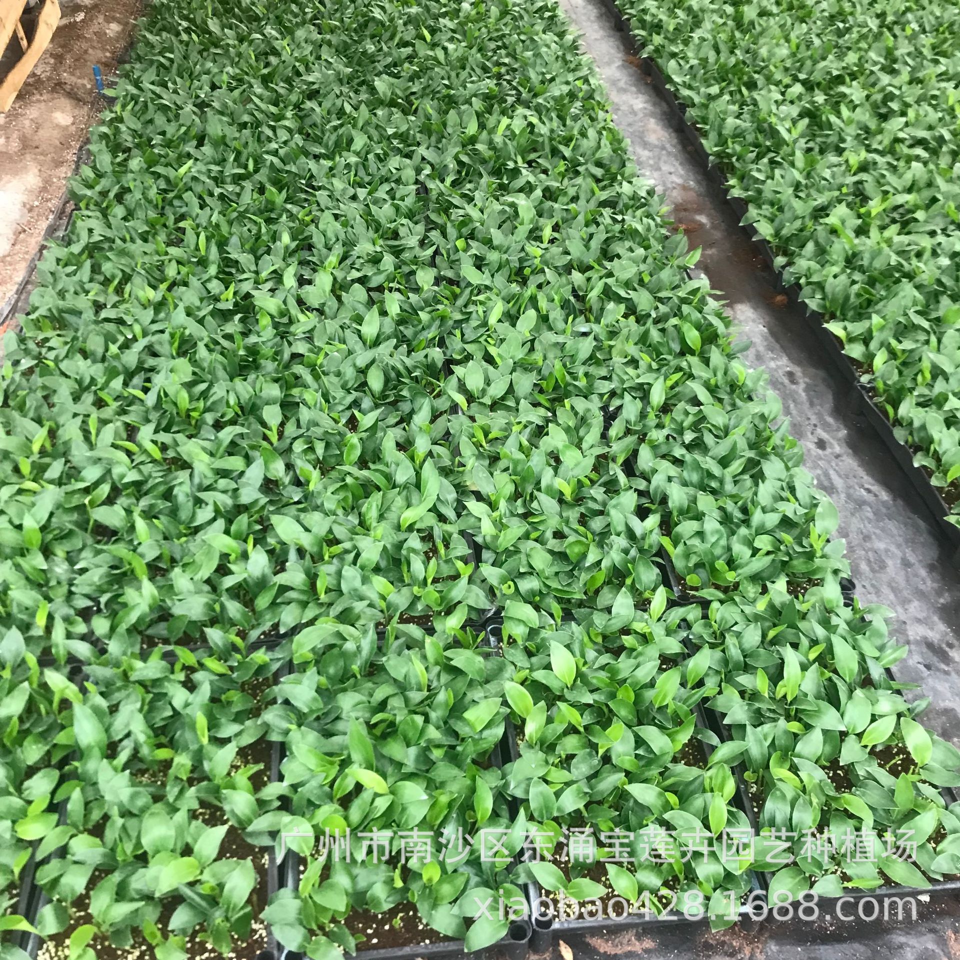 2E232BCD229CE08A448AAE139E6509