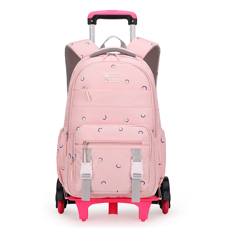 Venta caliente transfronteriza Carro de pescado natural mochila de las mujeres de seis ruedas de gran rueda de escalera de una sola pieza de entrega imprimible LOGO