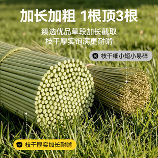 �W�^��ҧ��߽␞���Ӫ���С�B��ĥ������Ƥ���Pĵ������Ȼ��횲�