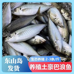 ��һ���b���|ɽ�u�Bֳ���������~���r�r���ك����v�~�������r���l