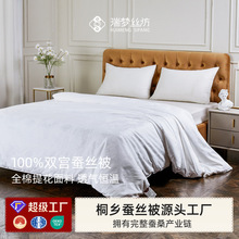 ˫˿Ứĸյ100ɣ˿о