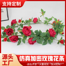 �ٻ���õ�廨���ٗl�������������ړ��҃ȵ���p�@�b���c