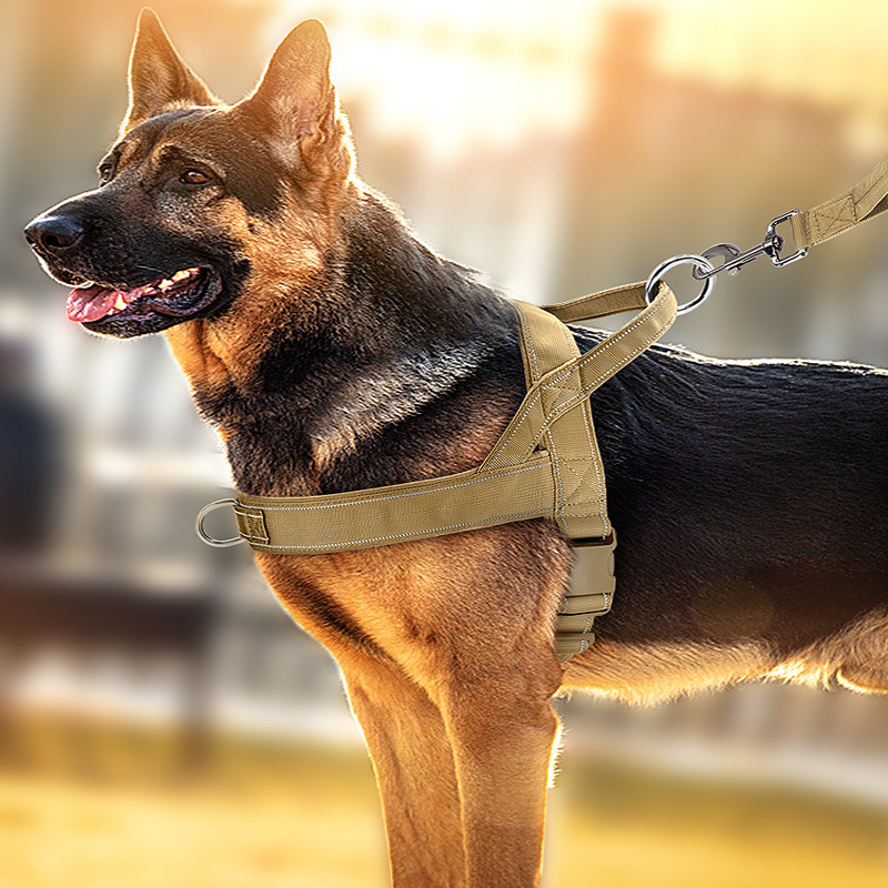 아마존 방폭 전술 가슴끈 대형견 목줄 조끼형 골든 리트리버 산책용 가죽끈