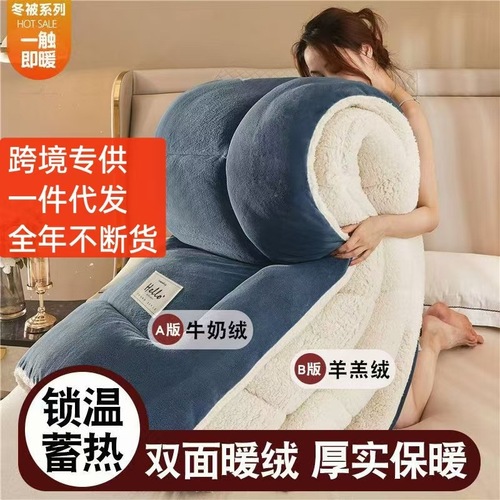 Cross-border exclusive lamb wool and cotton quilt core winter quilt double-sided fleece thickened warm student dorm single bed winter