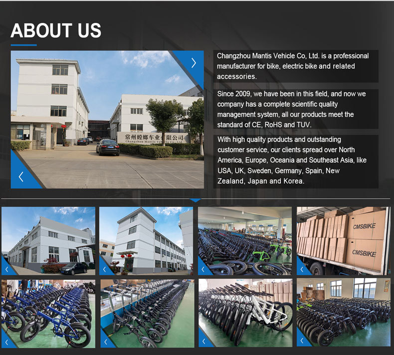 Exported to the United States Folding Electric Four-Wheeler Small Elderly Scooter Aluminum Alloy Ultra-Light Folding Lithium Electric Vehicle