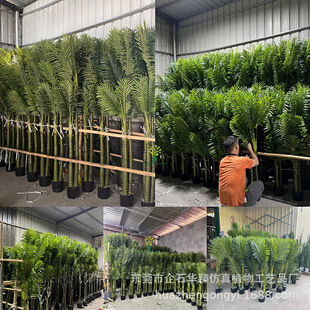 羳߶pݷÿPβҾӿ͏db[^