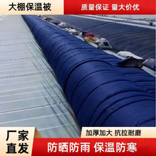 ���������B�������ﱻ�m�Ϙ��ů���̨ͥԺ���������ގ���ů