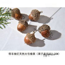 带橡果配件羊角干果钉手作很真的橡子天然一件代发垒德株