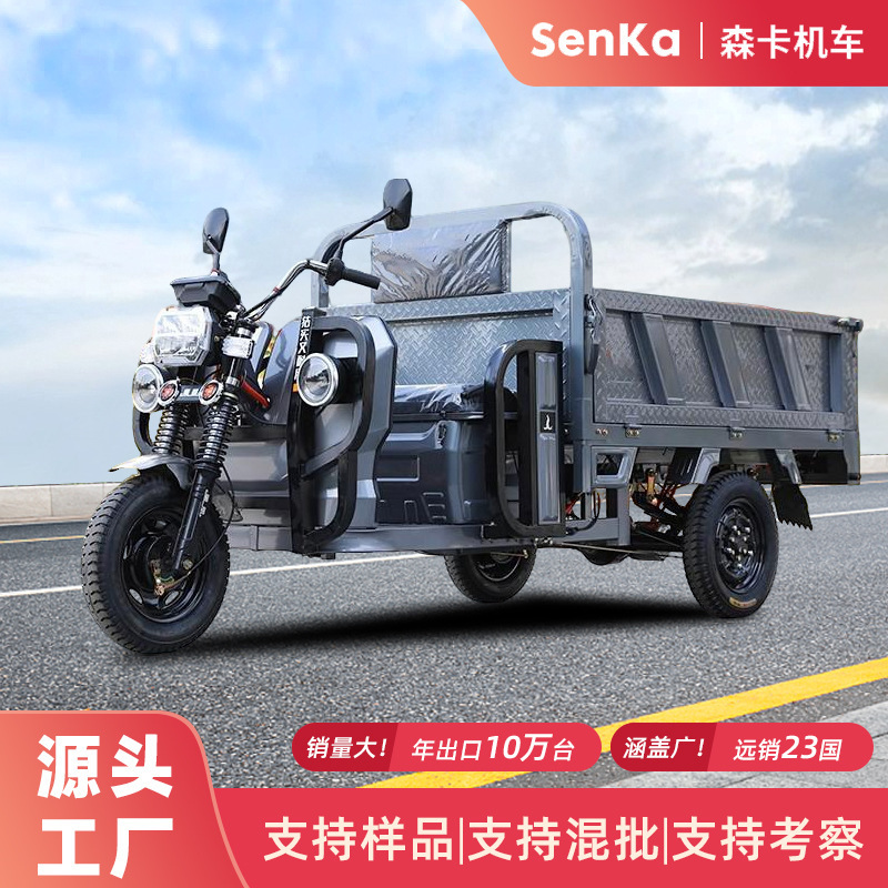 Electric Tricycle for Climbing Slopes, Household and Agricultural Use, Heavy-Duty High-Power Battery Vehicle, Eec Export Electric Tricycle