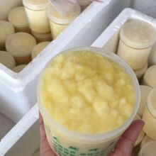 新到货蜂王浆 活性新鲜蜂皇浆500克一瓶农家正品自产蜂场直供油菜